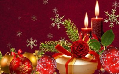 Newsletter 29 (Nov 2018)